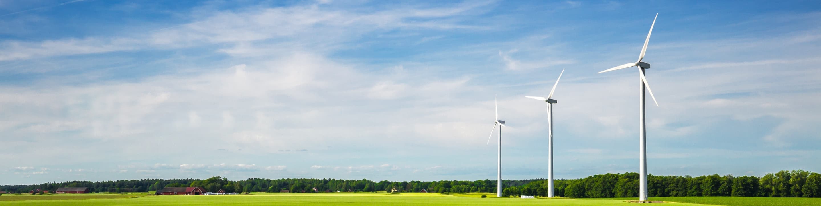 Windmills in a field