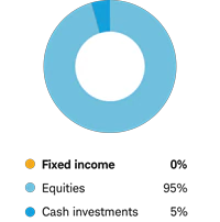 Aggressive allocation - Fixed income 0% Equities 95% Cash investments 5%