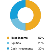 Conservative allocation - Fixed income 50% Equities 20% Cash investments 30%