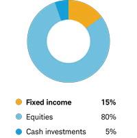 Moderately aggressive allocation - Fixed income 15% Equities 80% Cash investments 5%