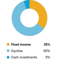 Moderate allocation - Fixed income 35% Equities 60% Cash investments 5%